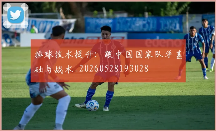 排球技术提升:跟中国国家队学基础与战术_20260528193028
