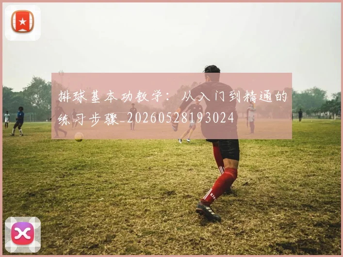 排球基本功教学:从入门到精通的练习步骤_20260528193024